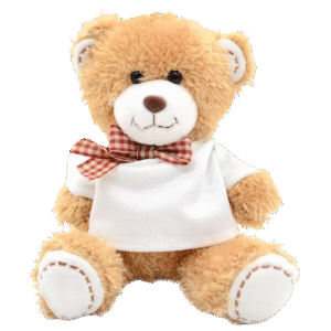 Custom Teddy Bear (With personalised T-Shirt)